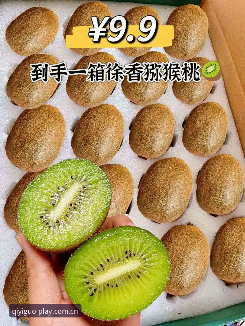 奇异果版本更新安装教程 奇异果体育版本更新安装实用指南:从下载到升级的必备知识